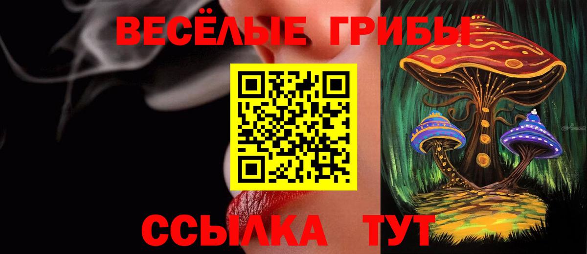 Псилоцибиновые грибы GOLDEN TEACHER  Вход с VPN  Сухой Лог 